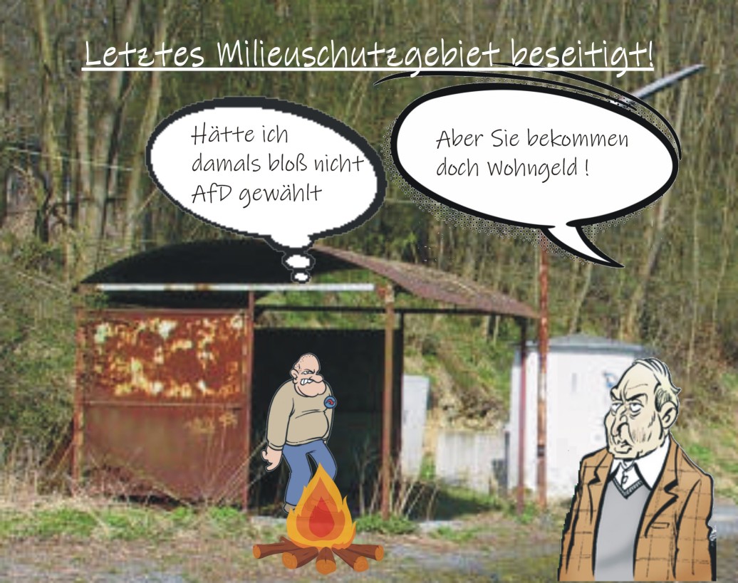 Karikatur über die Wohnpolitik der AfD